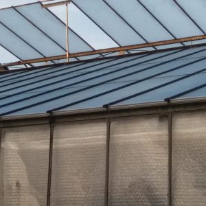 WhatsApp Image 2020-07-01 at 23.42.05 (2)